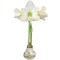 White Christmas Gold Splatter Waxed Jumbo Amaryllis - Holiday Blooms